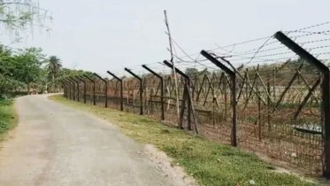 সাত মাসে বিএসএফের গুলিতে ২২ বাংলাদেশি নিহত