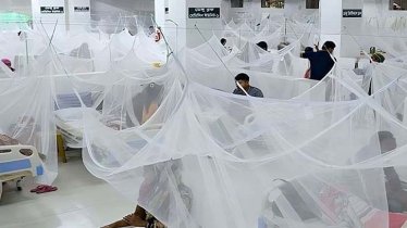 ডেঙ্গুতে আরও ৪ মৃত্যু, হাসপাতালে ৫৬৮ জন