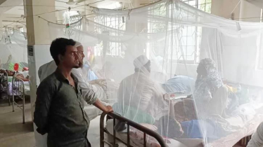 ২৪ ঘণ্টায় ডেঙ্গুতে আরও ৩ জনের মৃত্যু, হাসপাতালে ভর্তি ৪৯২ জন