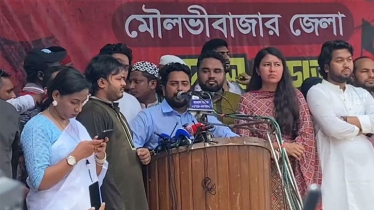 উন্নয়ন-সংস্কারের জন্য ‘মুজিববাদী সংবিধান’ সংস্কার প্রয়োজন: নাহিদ