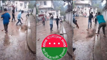 যুবদল নেতাকর্মীদের পাথর মেরে ব্যবসায়ী হত্যার ভিডিও ভাইরাল