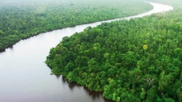 সুন্দরবনে তিন মাস মাছ ধরা ও ভ্রমণ নিষিদ্ধ