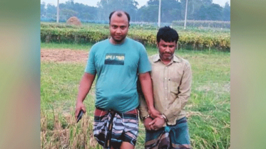 কৃষক সেজে ধানখেত থেকে সাজাপ্রাপ্ত আসামি ধরল পুলিশ