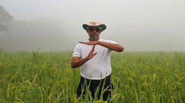ধানক্ষেতে দাঁড়িয়ে মনোনয়ন ‘রিভিউ আবেদন’ বিএনপি নেতার!