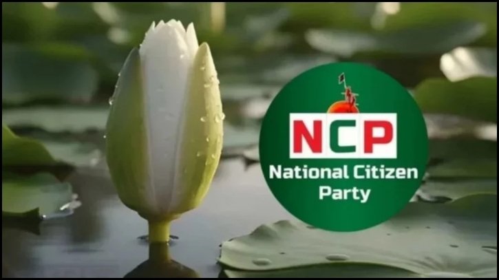 আট দিনে হাজারের বেশি মনোনয়নপত্র বিক্রি এনসিপির