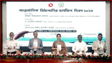 ডলফিন বাঁচলে নদী বাঁচবে, নদী বাঁচলে মানুষও বাঁচবে: রিজওয়ানা হাসান ডলফিন বাঁচলে নদী বাঁচবে, নদী বাঁচলে মানুষও বাঁচবে: রিজওয়ানা হাসান