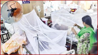 দেশজুড়ে ডেঙ্গুর প্রকোপ: এক দিনে আরও ৬ জনের মৃত্যু