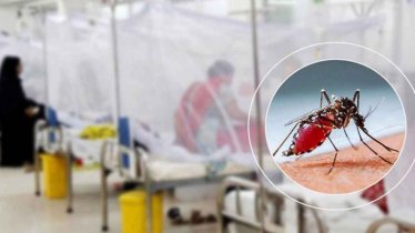 ডেঙ্গুতে ৫ জনের মৃত্যু, হাসপাতালে ভর্তি ৯৫৩ ডেঙ্গুতে ৫ জনের মৃত্যু, হাসপাতালে ভর্তি ৯৫৩