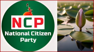 ইসির প্রতীক তালিকায় নতুন সংযোজন ‘শাপলা কলি’