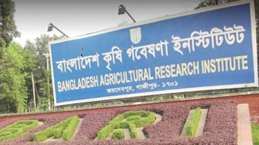 পরীক্ষা ছাড়াই ৪২ জন পেয়েছেন সরকারি চাকরি  পরীক্ষা ছাড়াই ৪২ জন পেয়েছেন সরকারি চাকরি