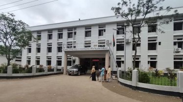 ব্রাহ্মণবাড়িয়ায় ভিমরুলের কামড়ে শিশুর মৃত্যু