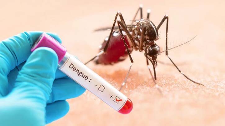 এক দিনে ডেঙ্গুতে নতুন ৬১৯ জন আক্রান্ত, মৃত্যু ১