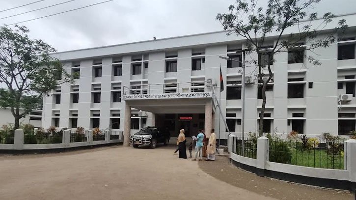 ব্রাহ্মণবাড়িয়ায় ভিমরুলের কামড়ে শিশুর মৃত্যু