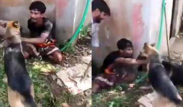 চুরির অপবাদে কুকুর লেলিয়ে যুবককে নির্যাতন