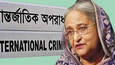 ৫ আগস্ট শেখ হাসিনা পদত্যাগ করেননি, দাবি রাষ্ট্রনিযুক্ত আইনজীবীর