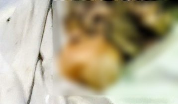 অজ্ঞাত লাশের কঙ্কাল উদ্ধার, নিখোঁজ ছাত্রদল নেতা শামীমের লাশ দাবি পরিবারের
