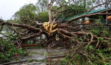 বুয়ালোইয়ে লণ্ডভণ্ড ভিয়েতনাম, মৃত্যু বেড়ে ১৯