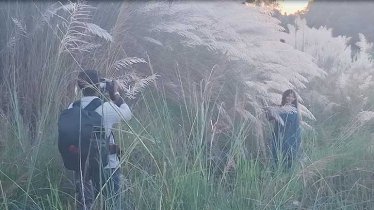 কাশফুলে সেজেছে জামালপুরের ব্রহ্মপুত্র পাড়
