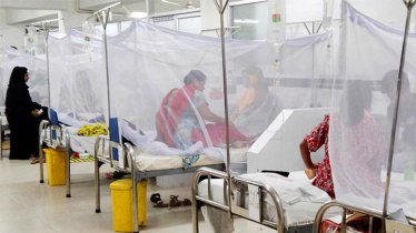 ডেঙ্গুতে একদিনে ১২ জনের মৃত্যু, হাসপাতালে ৭৪০
