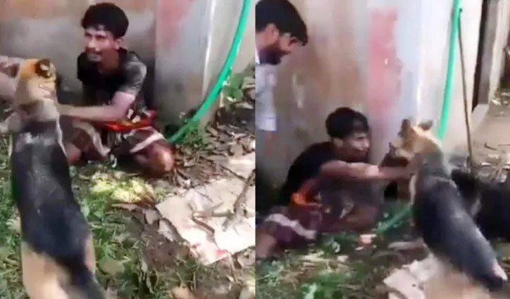 চুরির অপবাদে কুকুর লেলিয়ে যুবককে নির্যাতন