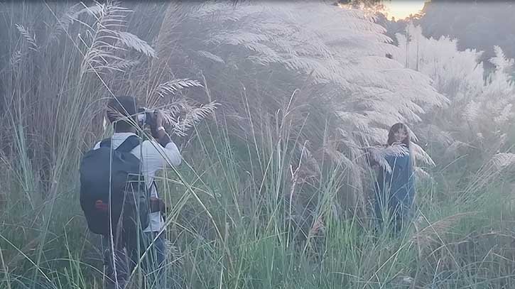 কাশফুলে সেজেছে জামালপুরের ব্রহ্মপুত্র পাড়