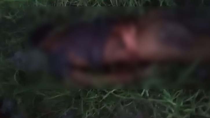 ব্রাহ্মণবাড়িয়ায় বিলের ড্রেন থেকে যুবকের মরদেহ উদ্ধার