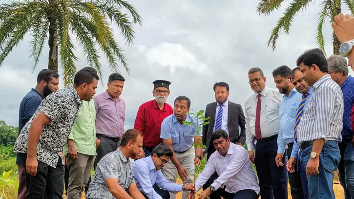 ব্র্যাক ব্যাংকের সহায়তায় কুবিতে ৩৫০০ দুর্লভ প্রজাতির চারা রোপণ শুরু