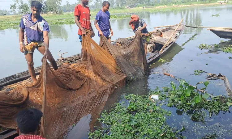 সাঁতরে ইছামতি নদী পার হওয়ার চেষ্টা, নিখোঁজ যুবক