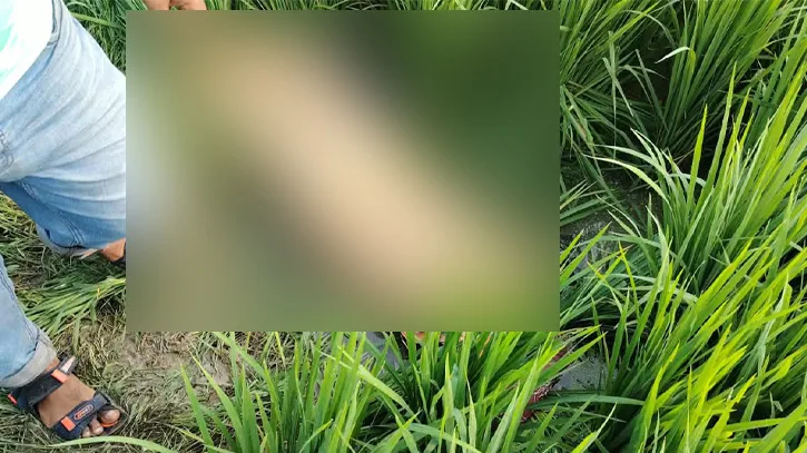 রাতে বাবাকে লাইভ লোকেশন, সকালে ফসলি জমিতে মিলল কিশোরীর মরদেহ