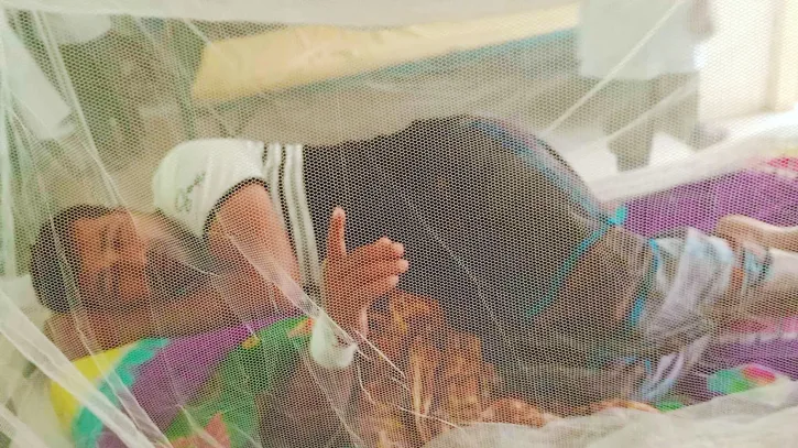 ডেঙ্গুতে মৃত্যু  ছাড়াল ৩০০, হাসপাতালে রেকর্ড ২১৯৩ ভর্তি