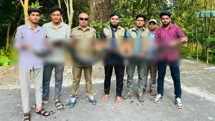 মিরসরাইয়ে ১২ ফুটের অজগর উদ্ধার, মহামায়া লেকের বনে অবমুক্ত