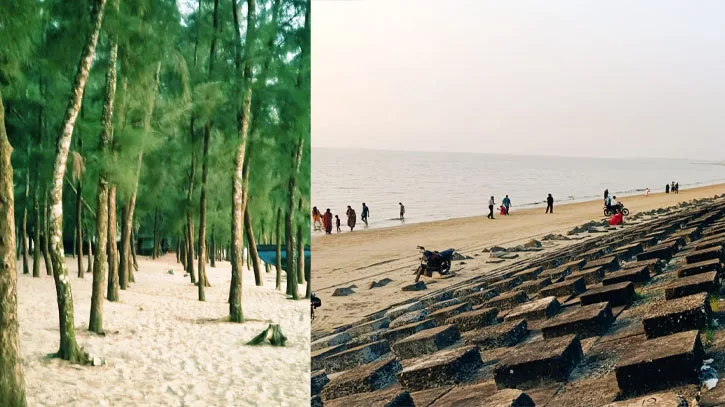ঝাউবন, লাল কাঁকড়া আর সাগরের গর্জনে মুগ্ধতায় বাঁশখালী সৈকত
