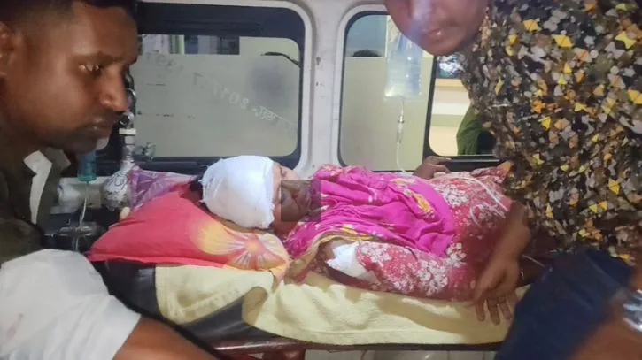 ভারত থেকে আসা বাঘের হামলায় লালমনিরহাটে আহত ৩