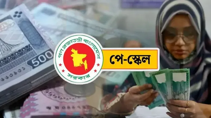 সরকারি কর্মচারীদের জন্য সুখবর, নতুন পে-স্কেলে মিলবে বকেয়া