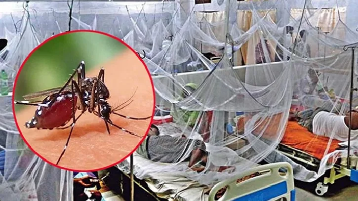 ২৪ ঘণ্টায় ডেঙ্গুতে নেই প্রাণহানি, হাসপাতালে ৭০২ জন