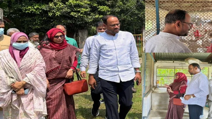 কেন্দ্রীয় মুরগি খামারে বাচ্চা উৎপাদন বাড়ানোর নির্দেশ প্রতিমন্ত্রী টুকুর