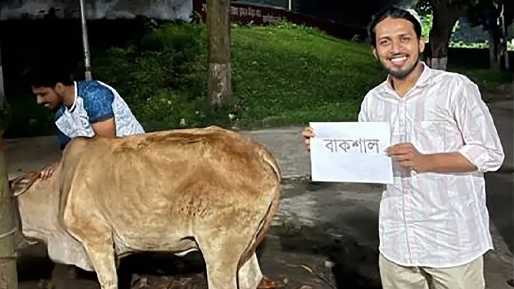 ‘বাকশাল’ নামে গরু জবাই করে আম্মারের নেতৃত্বে ভোজ
