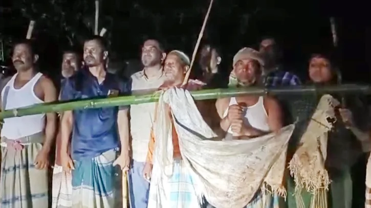 গরু চুরি ঠেকাতে সিরাজগঞ্জে রাতভর ‘বাঁশকল’ পাহারা