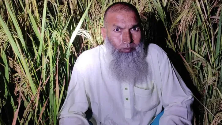 গভীর রাতে ধানক্ষেত থেকে আটক ইউনিয়ন আ.লীগ নেতা মজনু