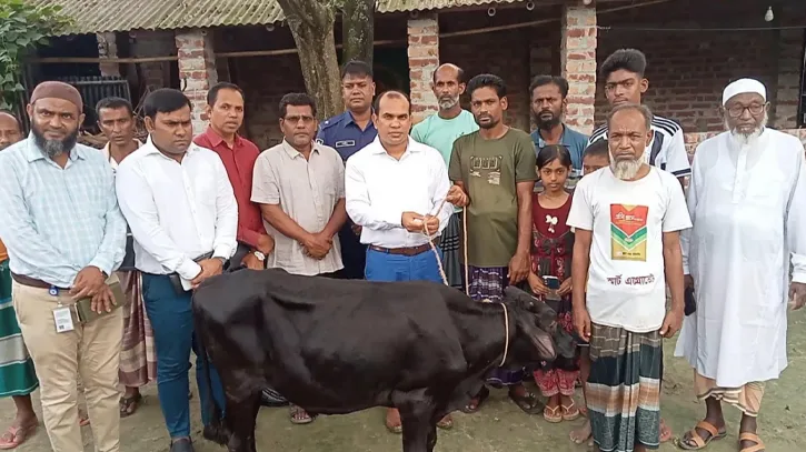 প্রতিমন্ত্রীর গাড়ির ধাক্কায় নিহত ফিরোজার পরিবারকে গাভী দিল উপজেলা প্রশাসন