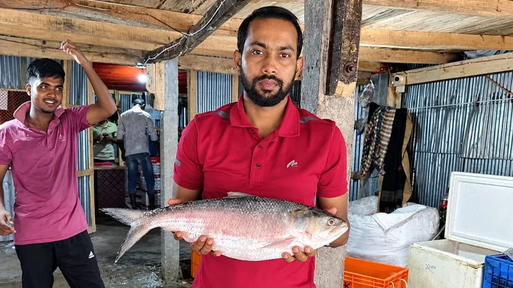 কুয়াকাটায় ২ কেজির ইলিশ নিলামে বিক্রি হলো সাড়ে ৭ হাজার টাকায়