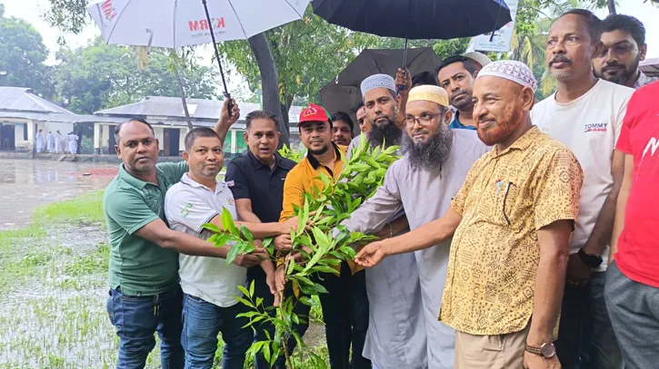 বিএনপির প্রতিষ্ঠাবার্ষিকীতে কলাপাড়ায় বৃক্ষরোপণ কর্মসূচি