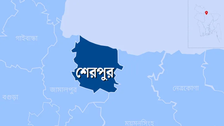 শেরপুরের বলাইরচরে মাদক ও জুয়ার বিস্তারের অভিযোগ, উদ্বিগ্ন এলাকাবাসী