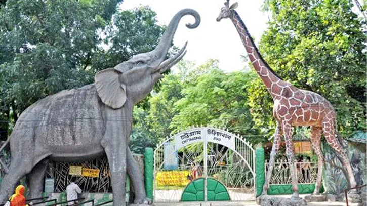 ১০০ গ্রাম প্লাস্টিক দিলেই চিড়িয়াখানায় বিনা মূল্যে প্রবেশ