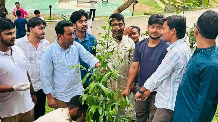 জুলাই গণঅভ্যুত্থান দিবসে কুবি ছাত্রদলের পরিচ্ছন্নতা ও বৃক্ষরোপণ কর্মসূচি