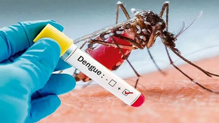 ডেঙ্গুতে আরও ৫ মৃত্যু, আক্রান্ত ৫৮ হাজার