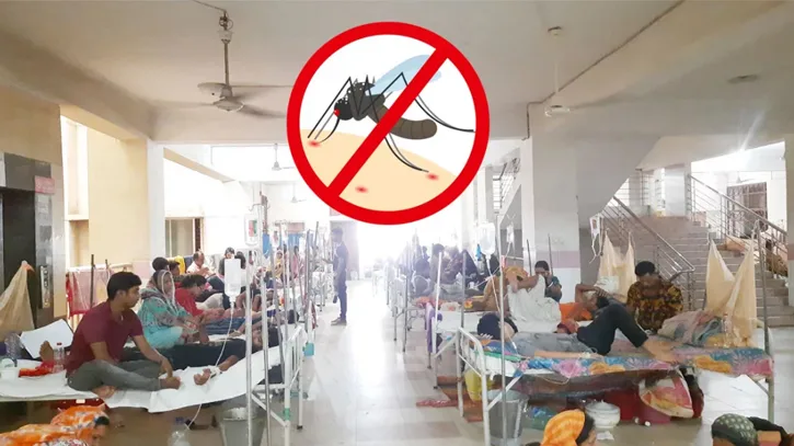 ডেঙ্গুতে ২৪ ঘণ্টায় আরও ৭ মৃত্যু, হাসপাতালে ১,৭৫৩